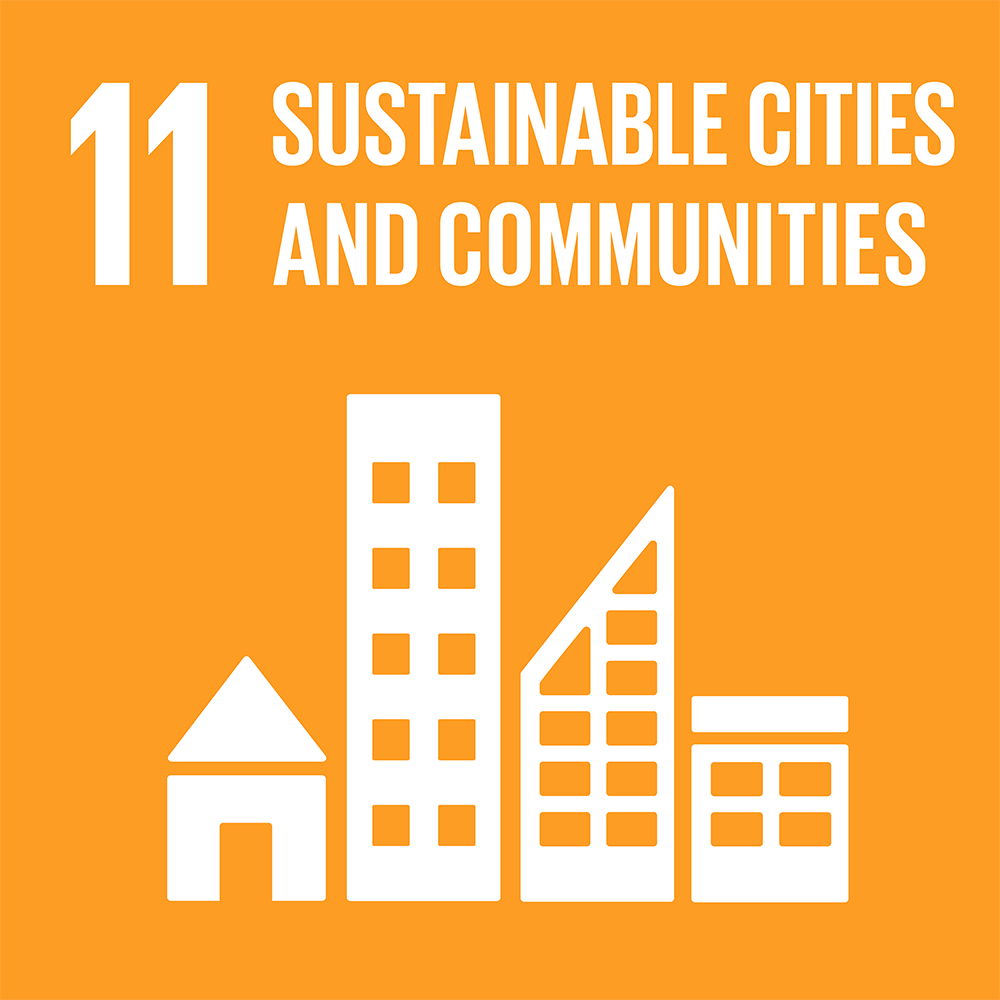SDG 11