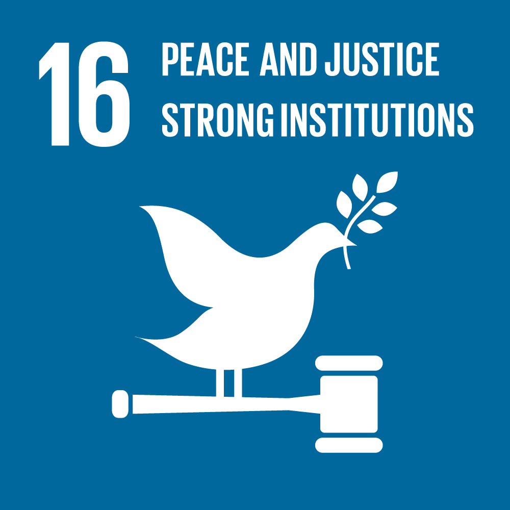 SDG 16
