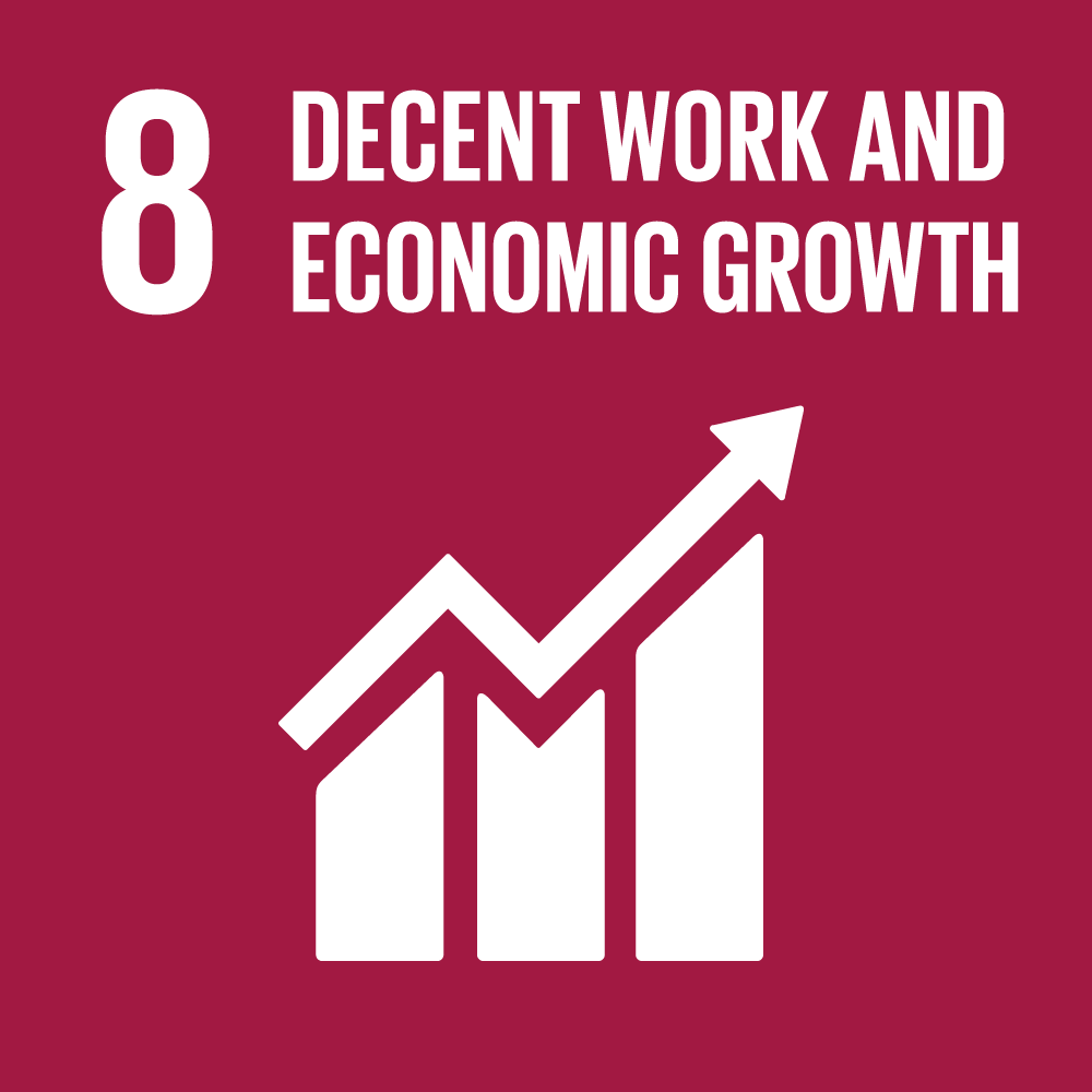 SDG 8
